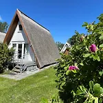 Vakantiehuis Finnhuette Nr.42 Auf Moenchgut Gager