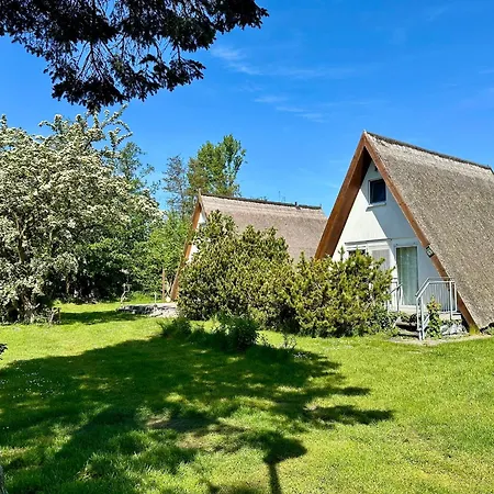 Finnhuette Nr.42 Auf Moenchgut *