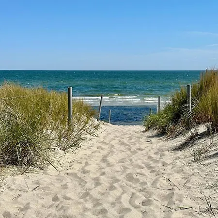 Finnhuette Nr.42 Auf Moenchgut גאגר