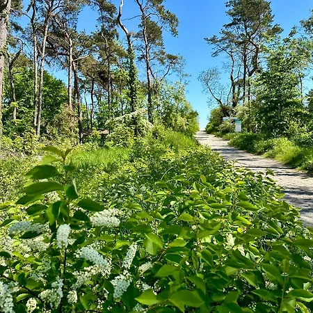 Finnhuette Nr.42 Auf Moenchgut בית נופש