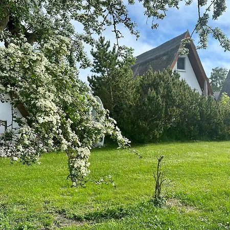 Finnhuette Nr.42 Auf Moenchgut Holiday home Gager