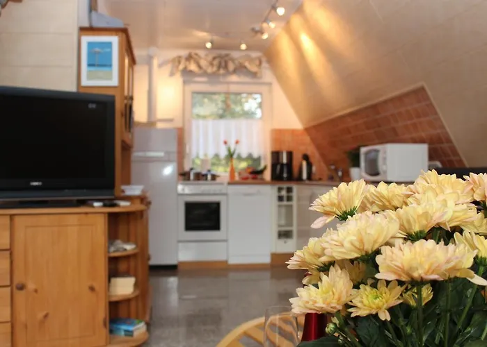 Finnhuette Nr.42 Auf Moenchgut 加格尔