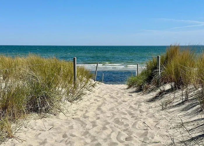 Finnhuette Nr.42 Auf Moenchgut 加格尔