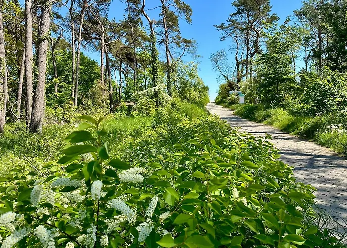 Finnhuette Nr.42 Auf Moenchgut 度假居